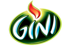 Gini