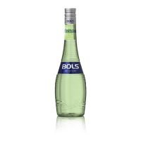 Bols Cucumber 17°
