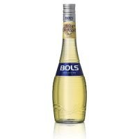 Bols Elderflower 17°