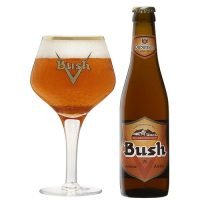 24/3 Bush Ambrée 12°