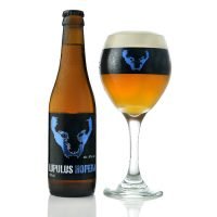 24x33cl. Lupulus Hopera O.W.