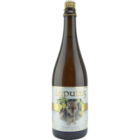 12/ 3/4 Lupulus Blonde